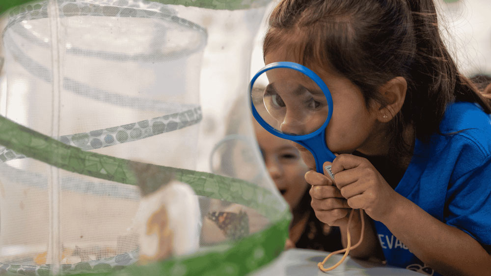 What Makes IST's Early Childhood Program Distinctive